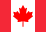 CAD flag