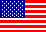 USD flag